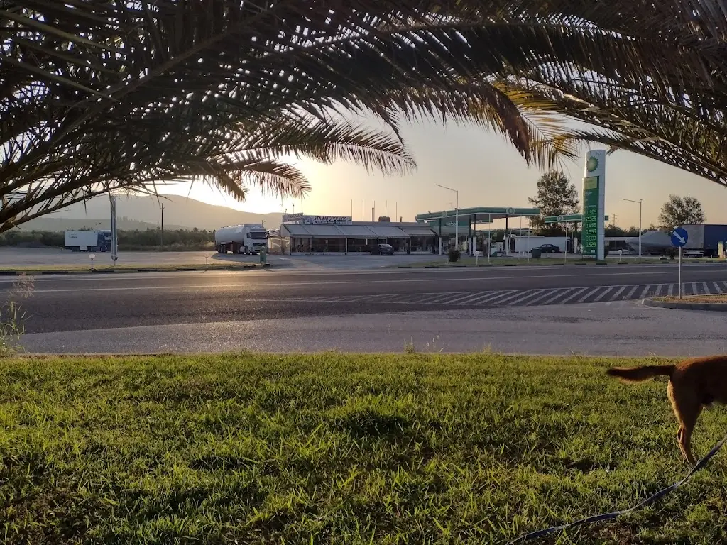 The Stylida_Stylída_slider_image_3