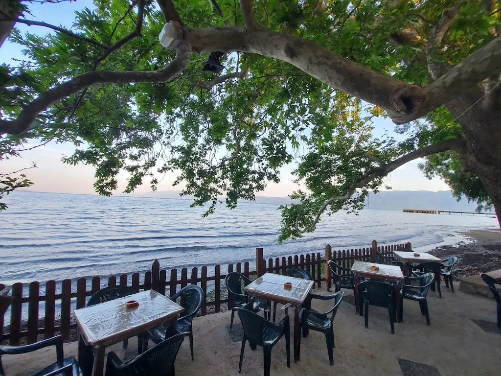 Plátanos_Stylída_slider_image_1