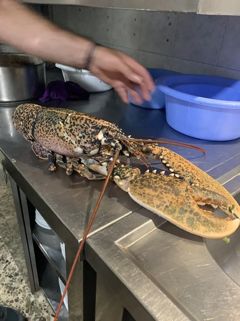 Souzi Rizkala_Stefanos_Skýros_Bewertung