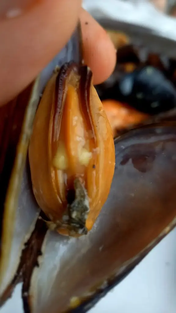 Menü_Ambrosia Taverna_Áfytos_Bild_7