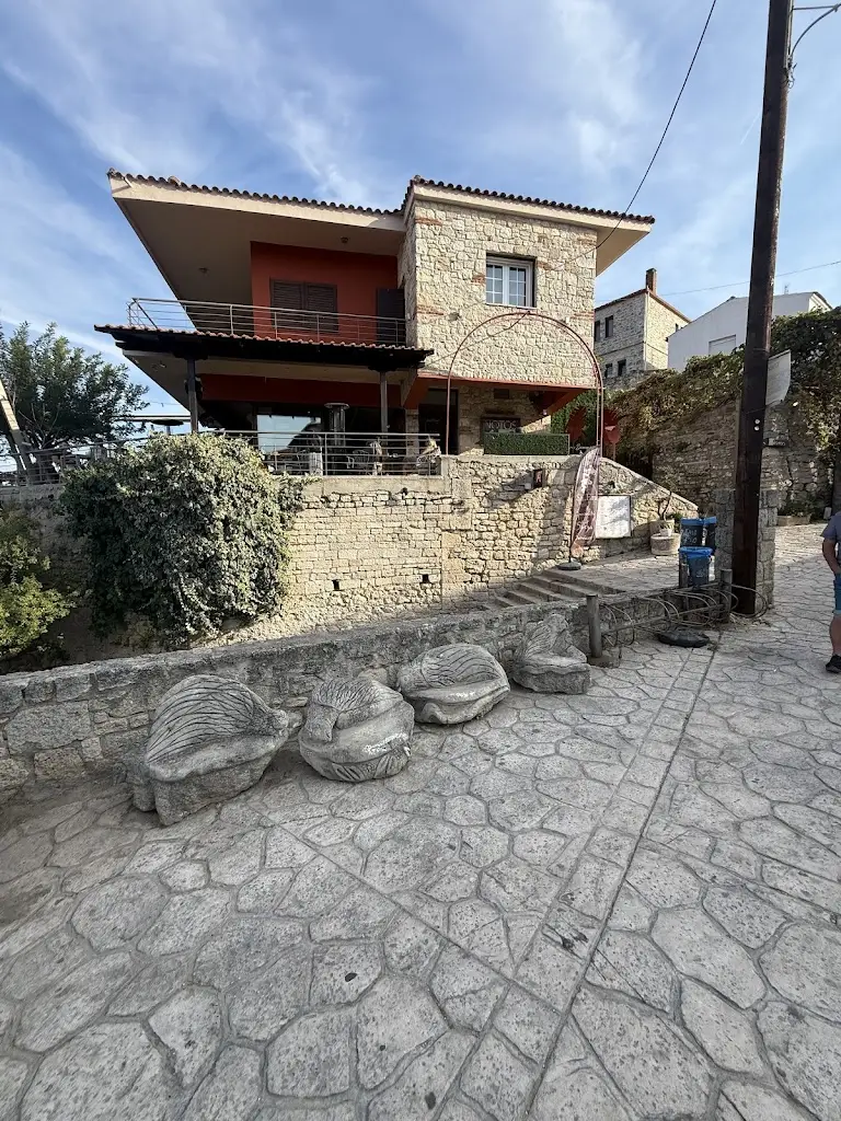 Andy Cowles_Notos All Day Bar_Áfytos_Bewertung