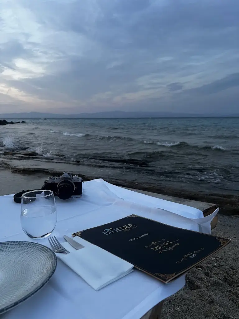 Anna Stoeva_Bluesea Seafood Restaurant_Áfytos_Bewertung