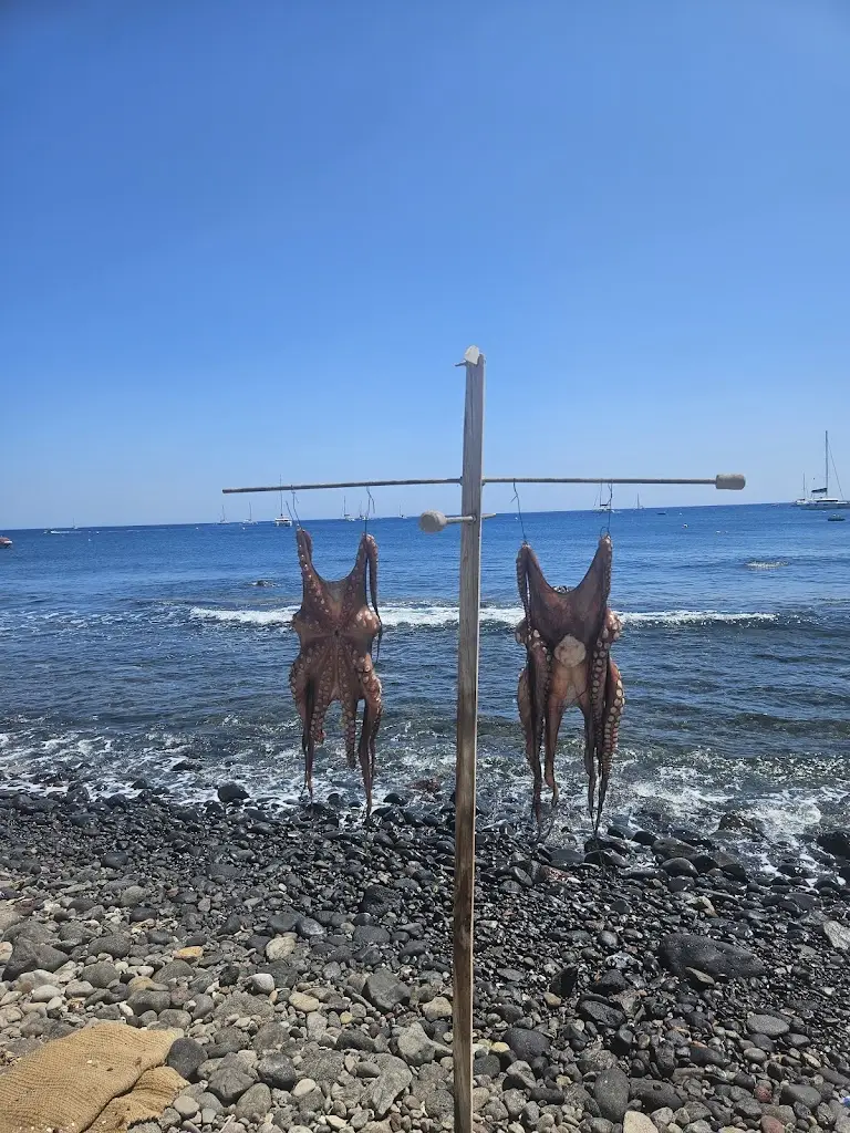 Zsolt Koncos_Melina's Tavern_Akrolímni_Bewertung