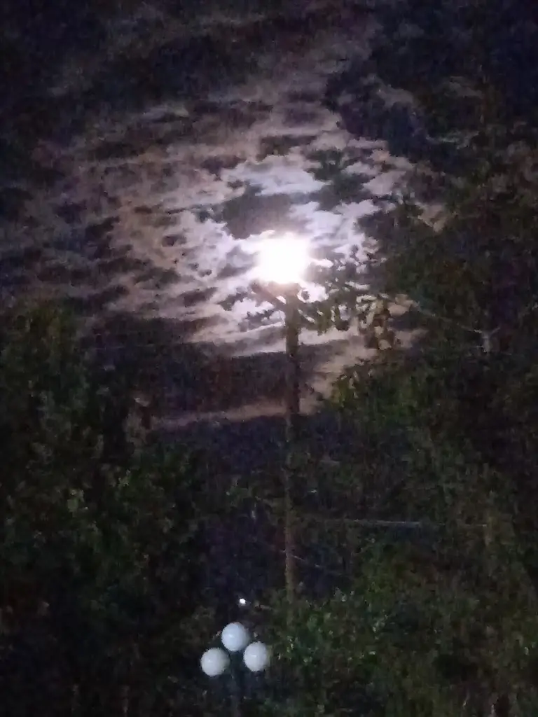 Dimitris Michailidis_Τζιρτζιλάς Σάκης_Alistráti_Bewertung