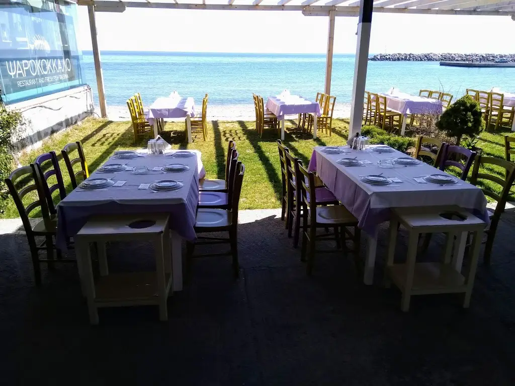 Psarokokkalo Restaurant in Angelochóri