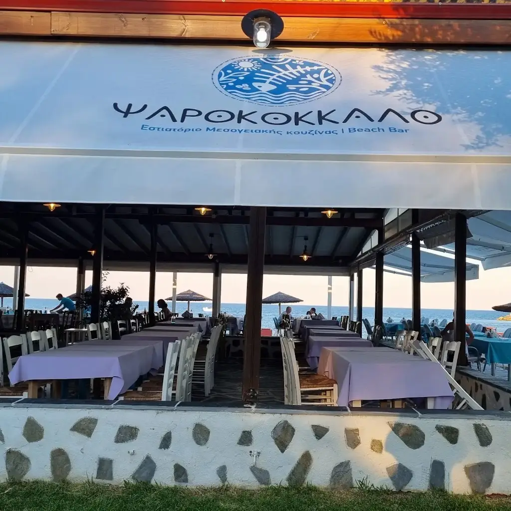 Psarokokkalo_Angelochóri_slider_image_3