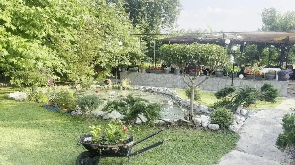 Kim Lang_Ellinikon Fish Tavern_Angelochóri_Bewertung