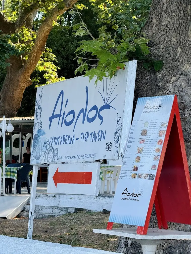Erik Kennelly_Aiolos Fish Tavern_Angelochóri_review