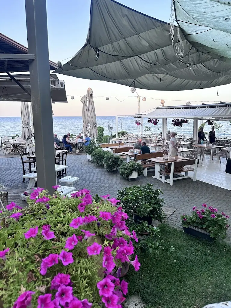 Svetlana Stepanovic_Veranda Seaside_Angelochóri_review