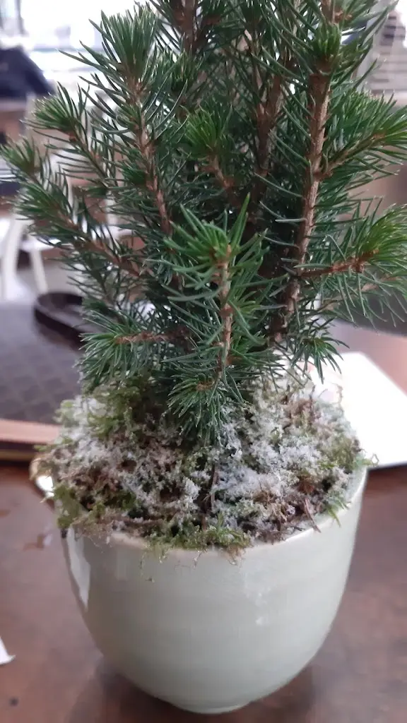 MAWHIB ALI (M.Ali)_Coup Espresso & Wine Bar_Aridaía_Bewertung