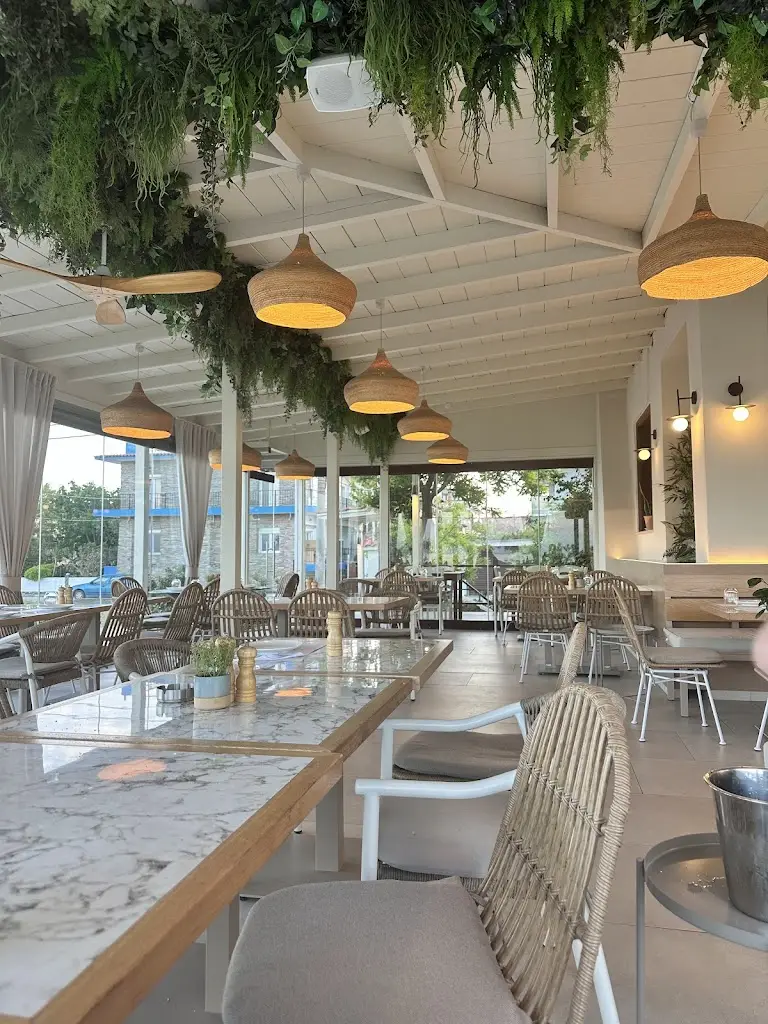 Sinisa Popovic_Armýra_Arnaía_Bewertung