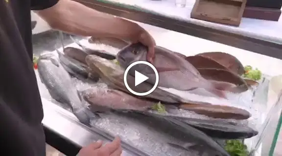 Arhontikon - Restaurant in Artemida_Artémida_slider_image_2