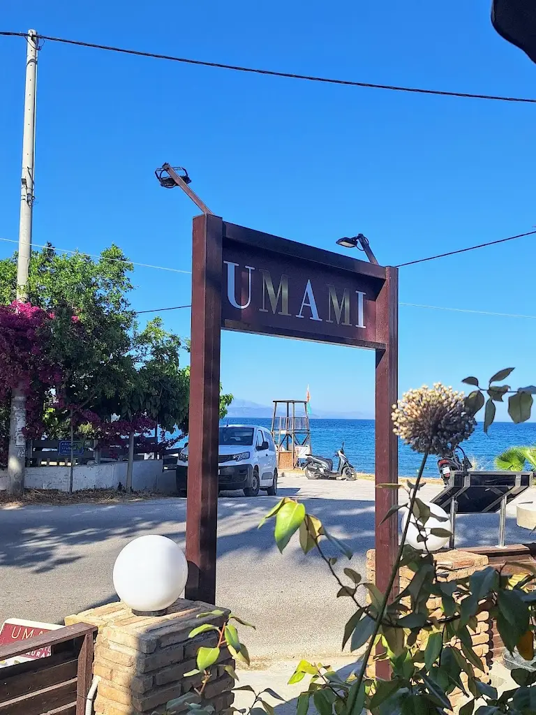 Alicia B_Umami Cocktail Restaurant_Artémida_review