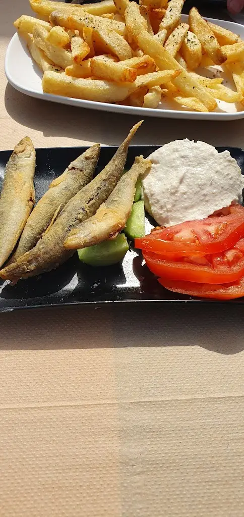 Menu_Ta Delfinia_Artémida_image_9