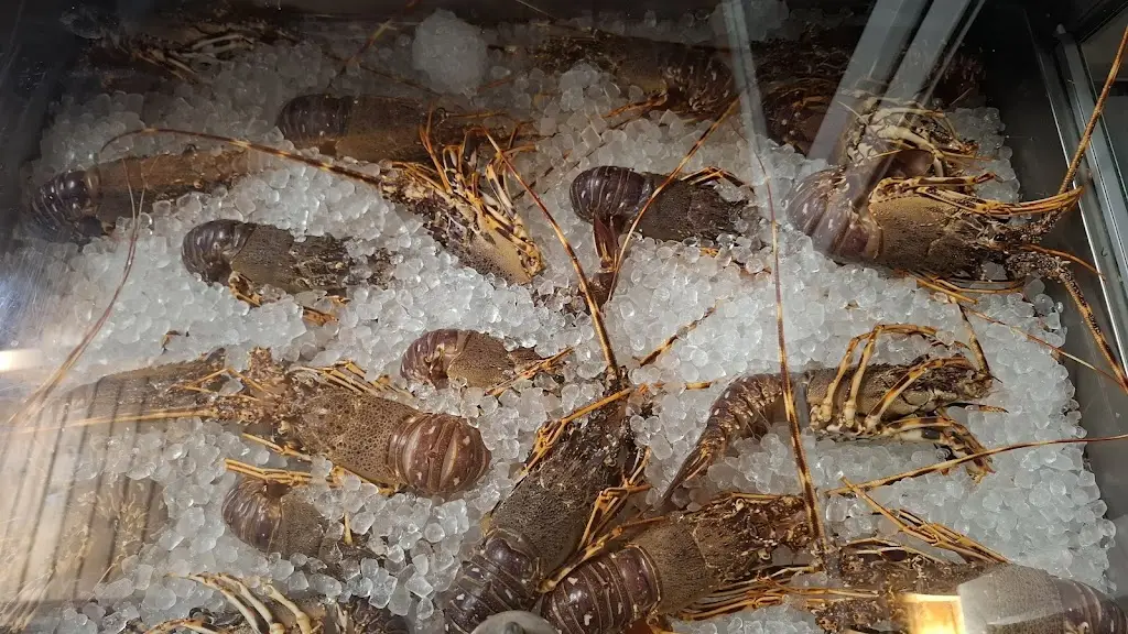 Mark Welsh_TAVERNA CHRISTINA FISH RESTAURANT_Artémida_reseña