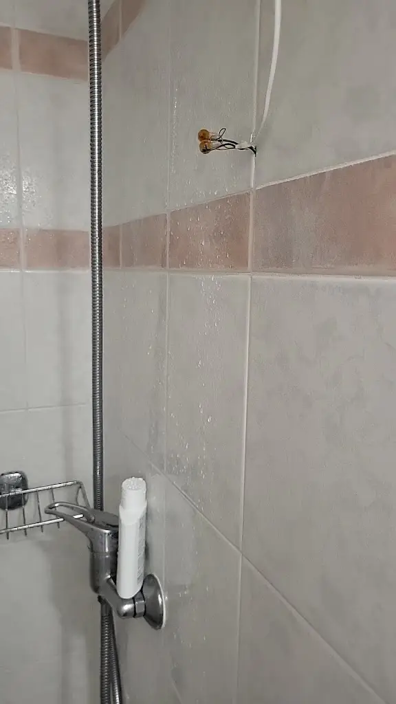 Zizi Buneta_Filippos Hotel Chalkidona_Chalkidóna_Bewertung