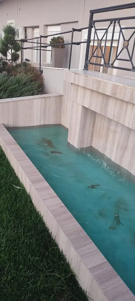 Filippos Hotel Chalkidona_Chalkidóna_slider_image_3