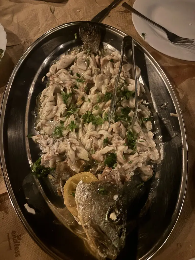 Indy Fabig_Marida_Artémida_review