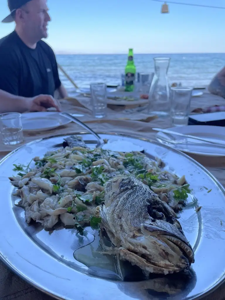 Bob Van Der Paardt_Marida_Artémida_review