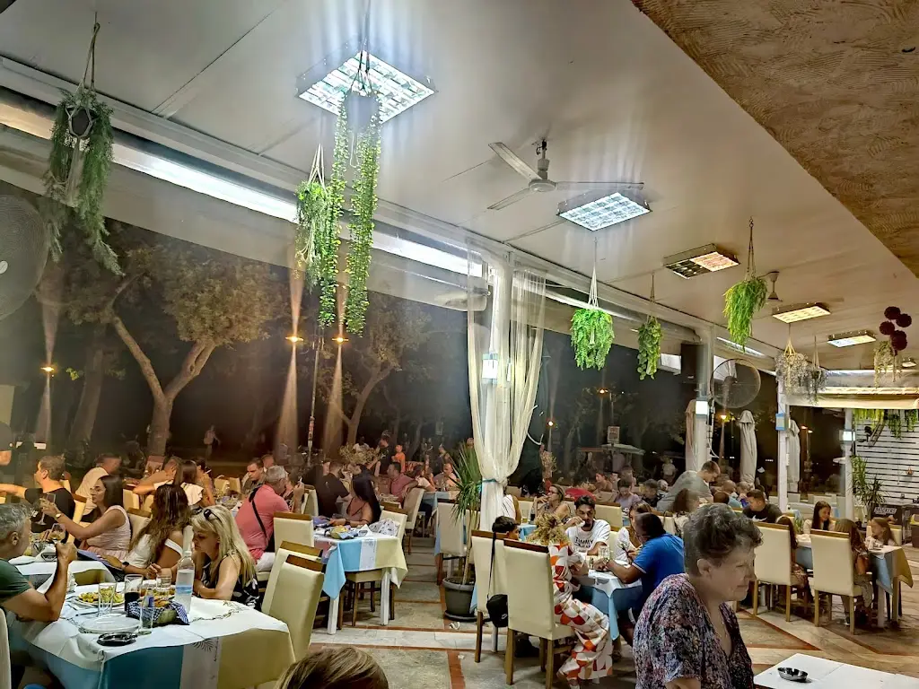 Fifty-fifty cafe restaurant Restaurant in Asproválta