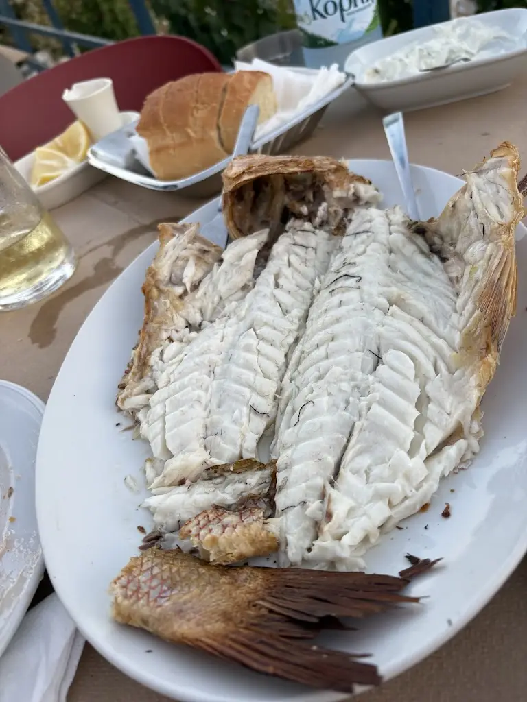 Małgorzata Domagała_Taverna Artemis_Artémida_Bewertung