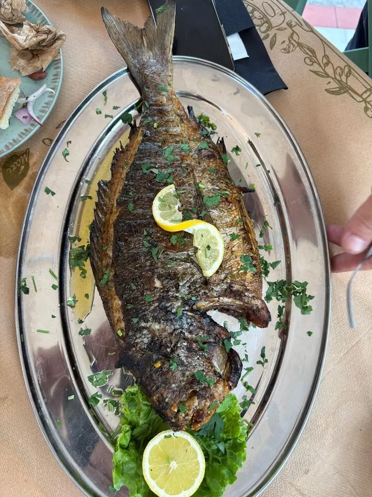 Felicia Sorina Andrei_Apagkio_Asproválta_review