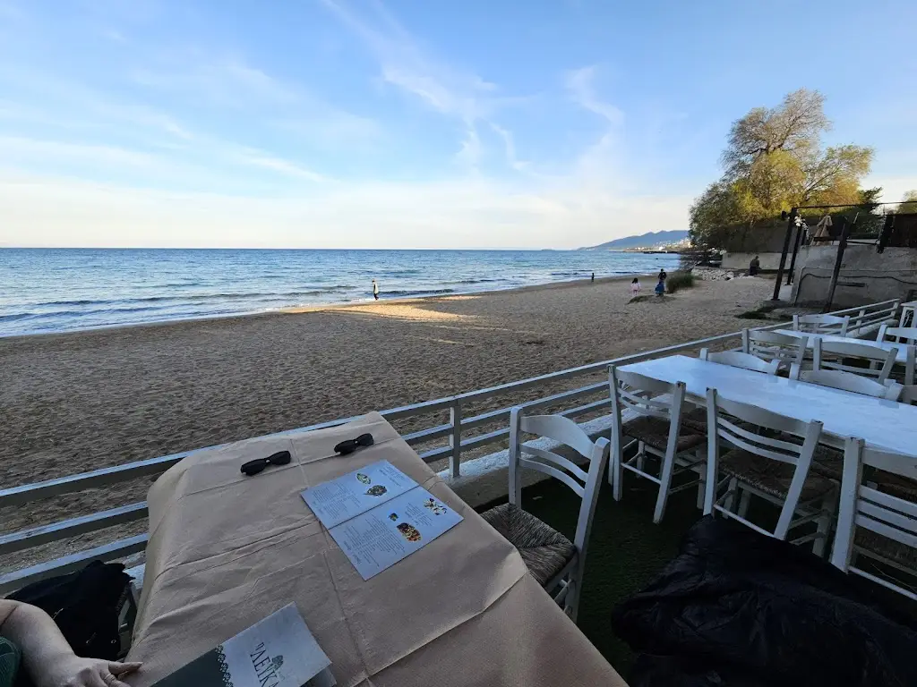 Daniel C_LEFKA TAVERN_Artémida_review