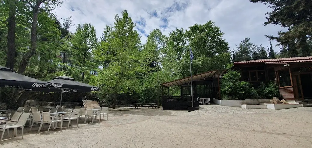 Harrys Manousaridis_Platanakia Natura_Chortiátis_Bewertung