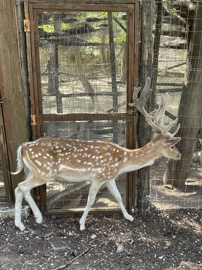 Vicky Georgiadou_Platanakia Natura_Chortiátis_Bewertung
