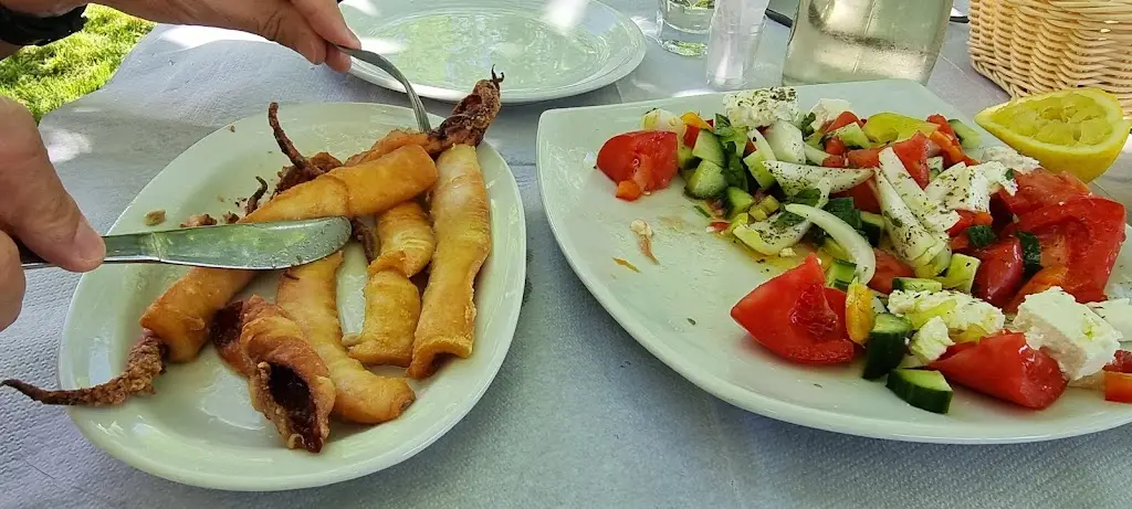 Sonya WDona_Anemos_Chortiátis_review