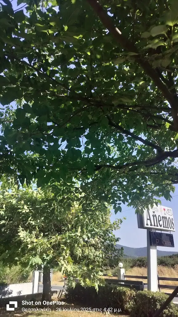 ALEXANDRA KOUTSA_Anemos_Chortiátis_review