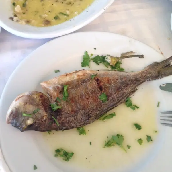 Honorable Kenny_Ουζερί... στην Ευκαρπία_Efkarpía_Bewertung