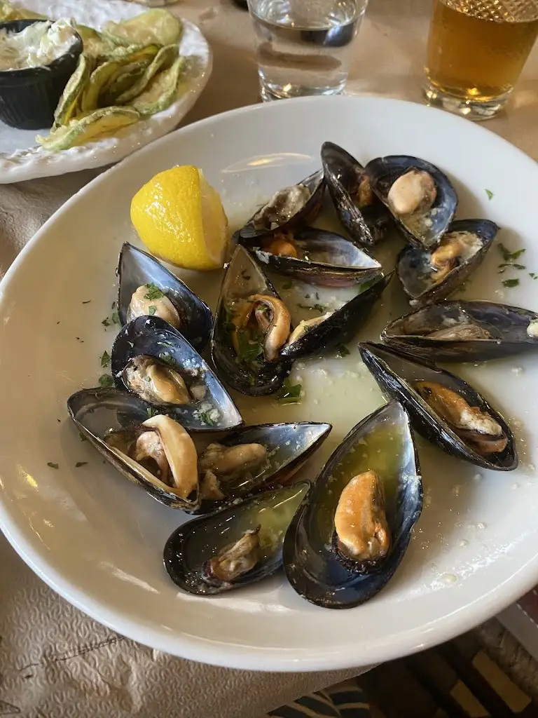 Annette Scivier_Ousies_Édessa_review