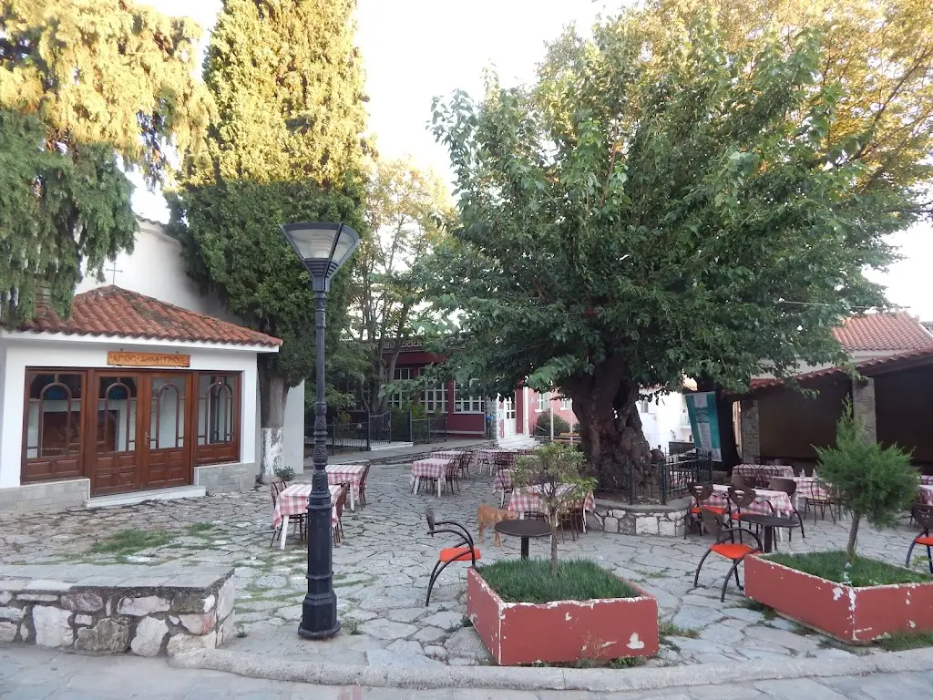 Καφεζυθοπωλείον 