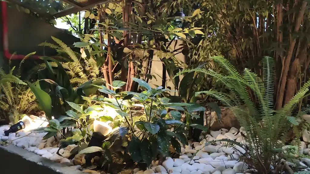 Zak Contemporary Bistrot_Kalamariá_slider_image_2