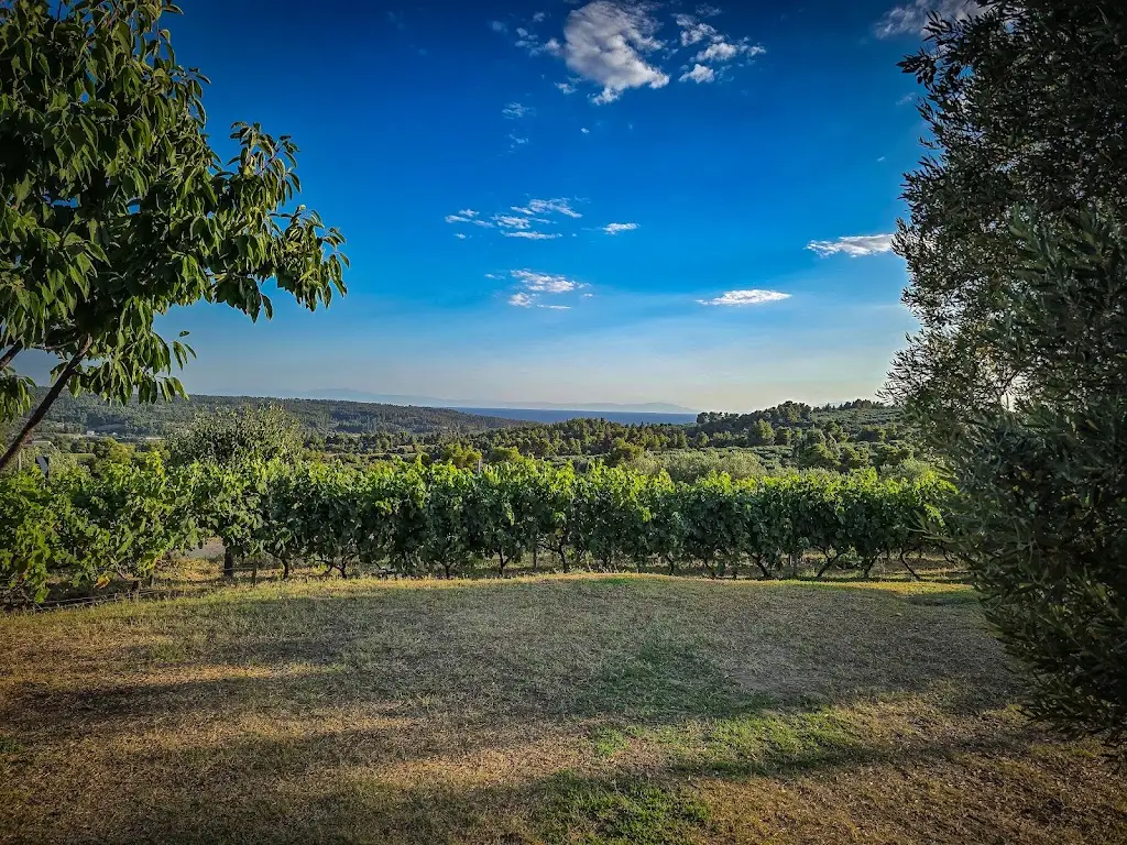 Andrei R_Metoxi Restaurant_Kassándreia_recensione