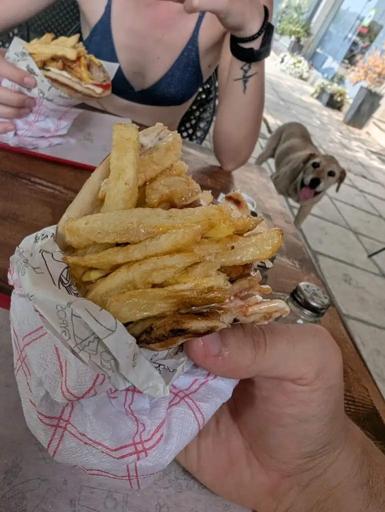 Nedko Boyanov_Theodore's Grill_Kassándreia_avis