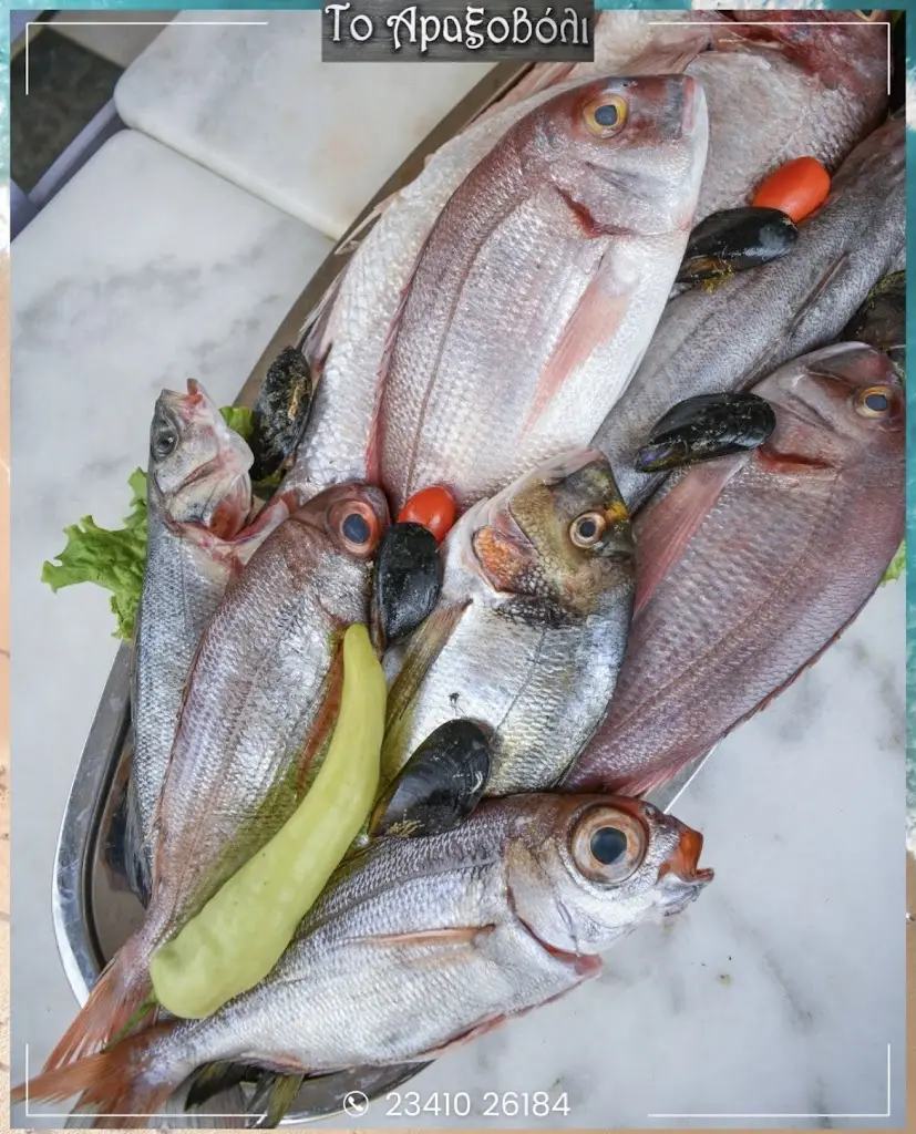 Το Αραξοβόλι_Kilkís_slider_image_3