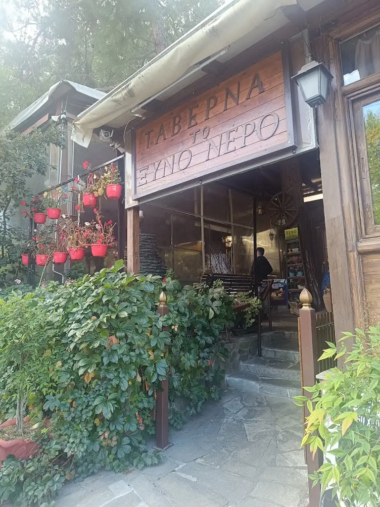 Xino Nero Tavern_Kilkís_slider_image_3