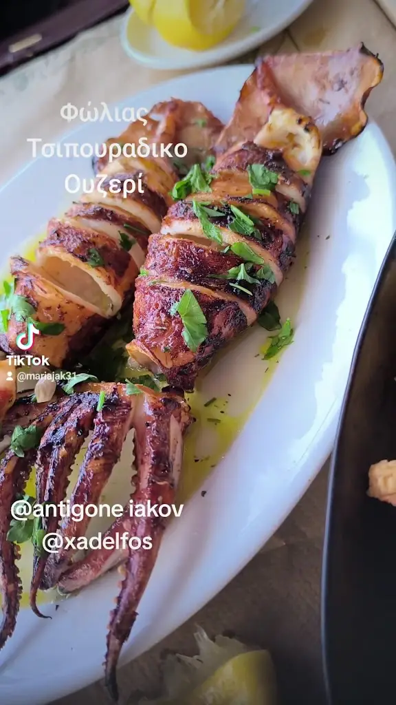 Φώλιας Μεζεδοπωλείο Ουζερί Τσιπουράδικο_Kilkís_slider_image_2