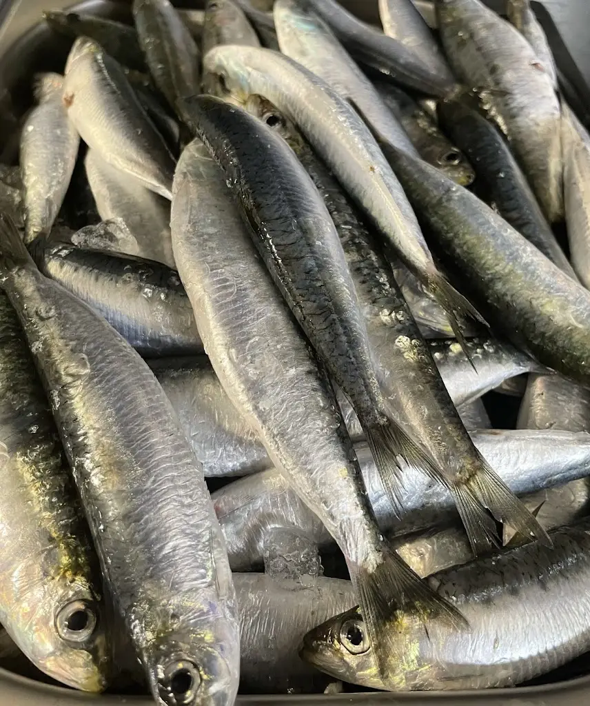 Menu_Ο Μπάτης από το 1959_Áyioi Apóstoloi_image_9