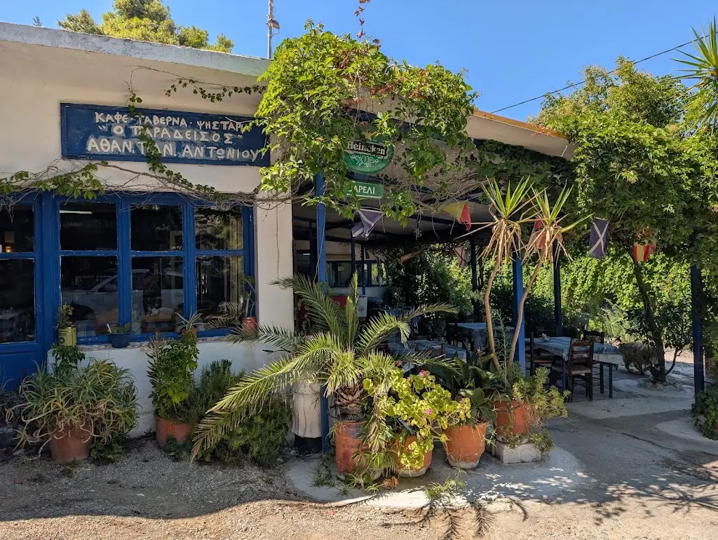 Alex “wired” Alexander_Ο Παράδεισος_Áyioi Apóstoloi_Bewertung