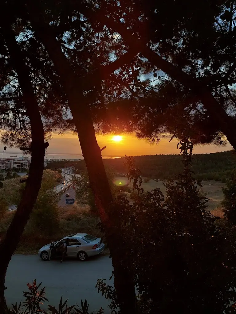 Vasileios Karakostas_Lofos Cafe · Bar · Restaurant_Lófos_Bewertung