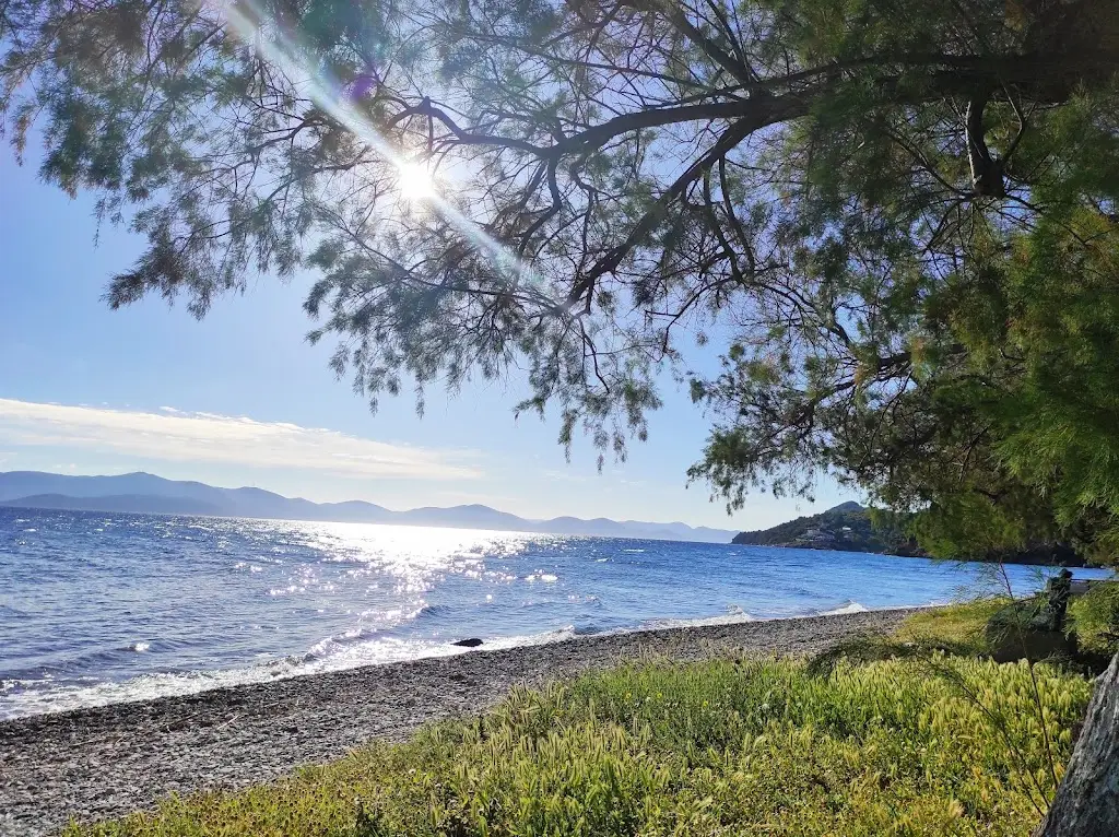 Apostolia Kiltsikis_Taverna Agona_Áyioi Apóstoloi_review