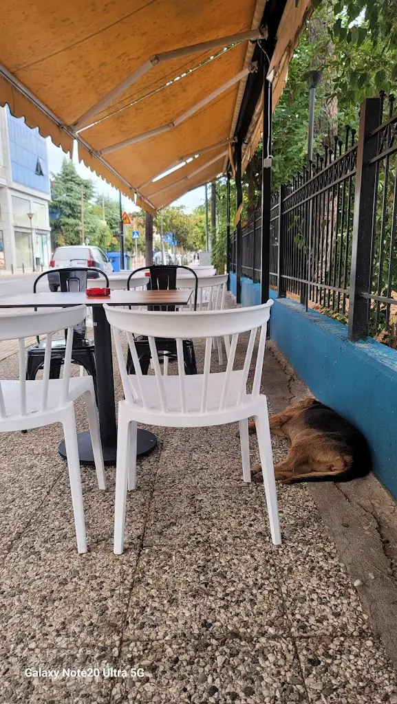 Nikos A._PARI'S STREET FOOD_Lagkadás_Bewertung