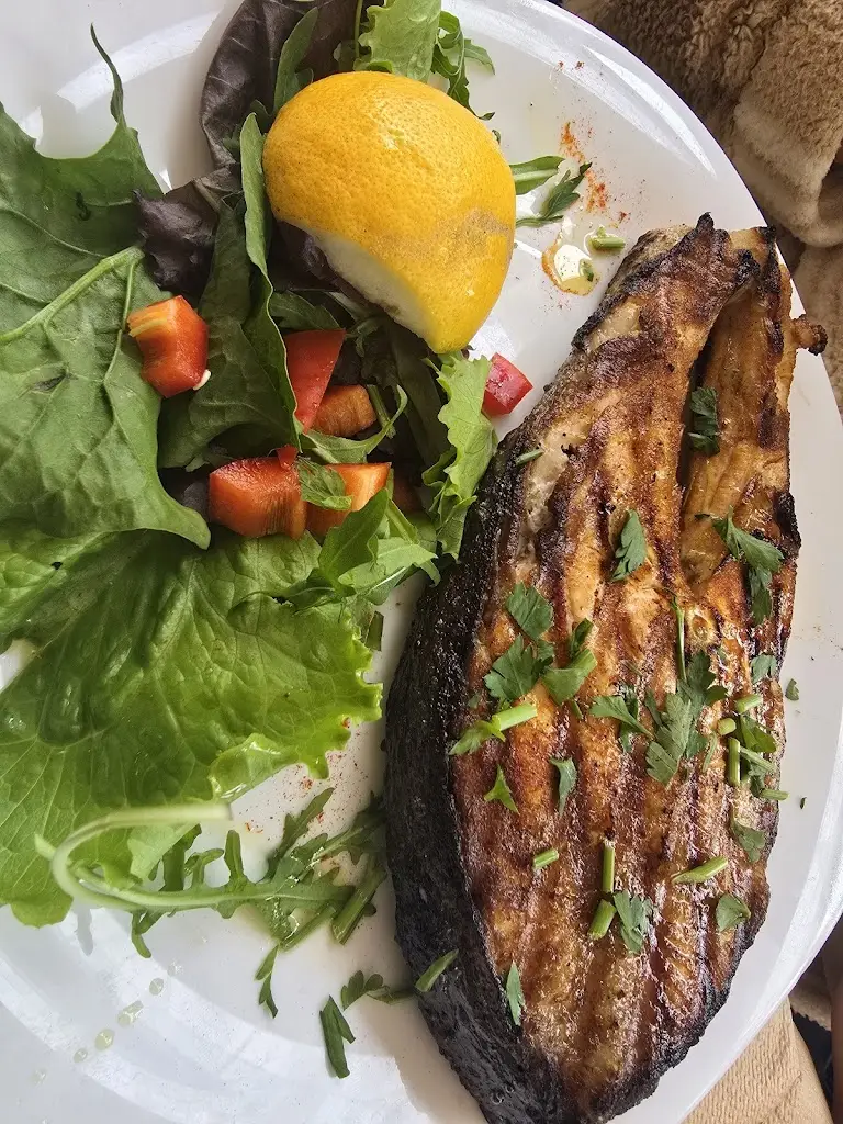 אבי כץ_Berlin_Meneméni_review