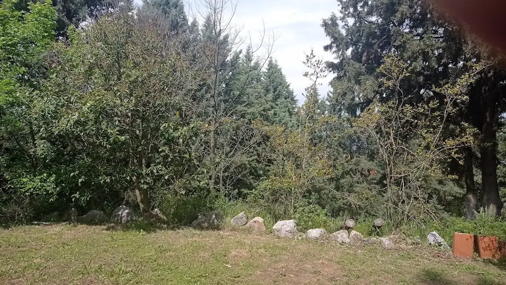 nana kiorpelidou_Traditional Taverna Krioneri_Melissochóri_Bewertung