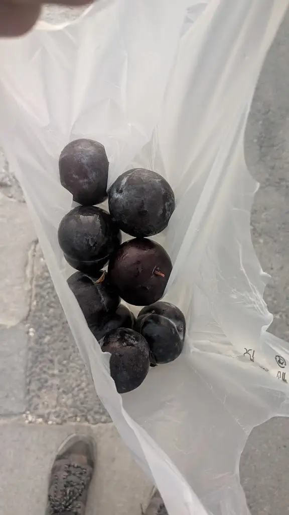 Dave Zack_Olive Trees Corner_Melíki_Bewertung