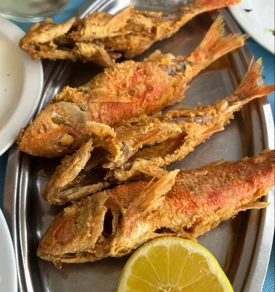 Spiros Vondas_Panormitis_Aghios Panteleímon_reseña