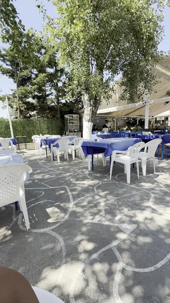 Siska Sylvania_Taverna Votsalo_Néa Flogitá_review